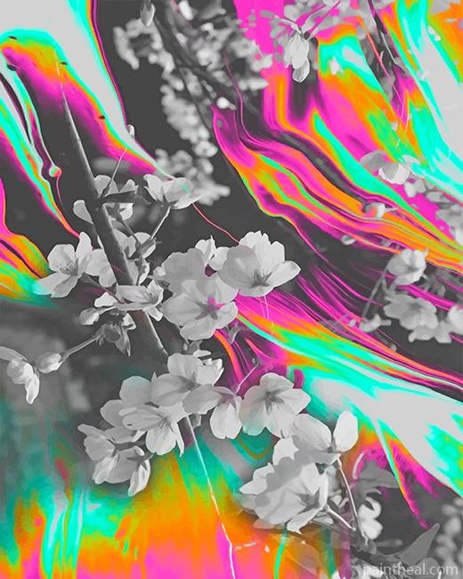 Mixed Colors With Flowers Painting By Numbers Kits
