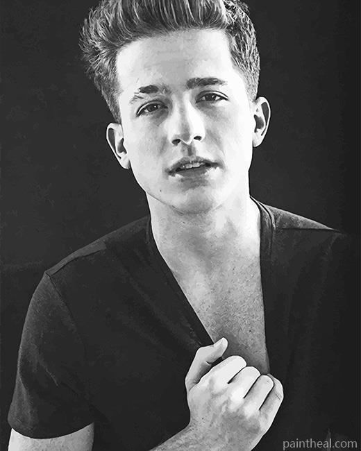Black And Whit Charlie Puth Painting By Numbers Kits