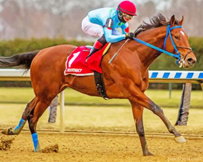 Horse Racing Sport Painting By Numbers Kits