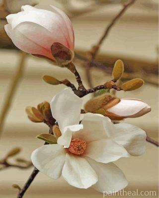 White Magnolia Flower Painting By Numbers Kits