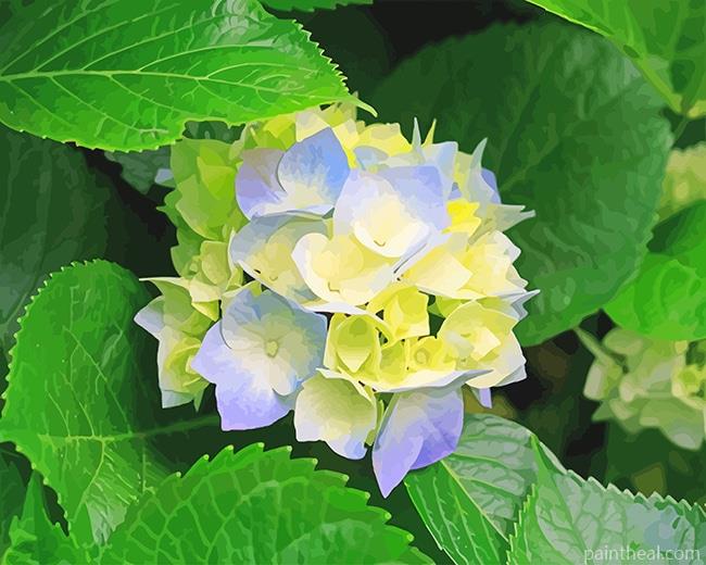 Blue Yellow Hydrangeas Painting By Numbers Kits
