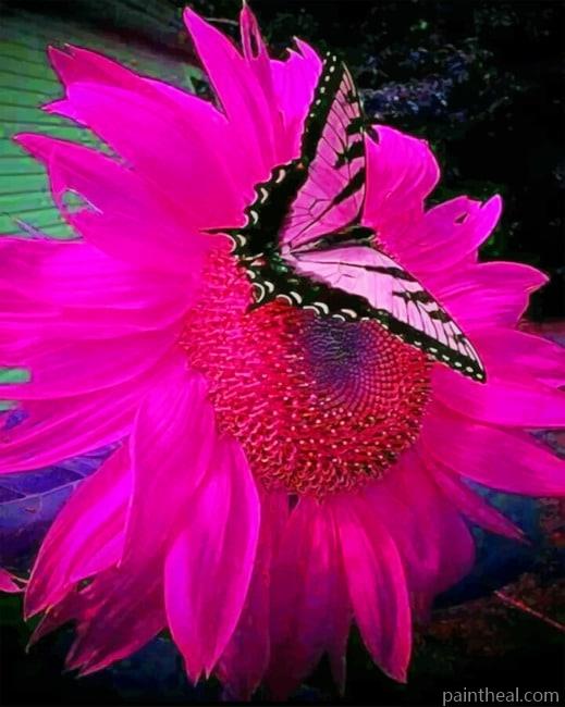 Butterfly On Pink Flower Painting By Numbers Kits