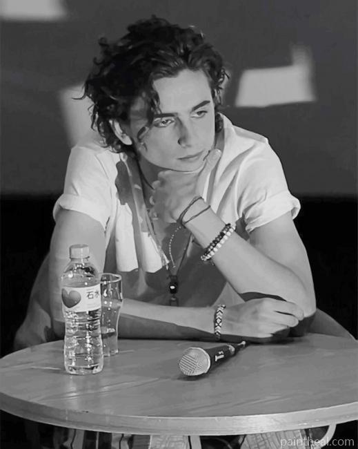 Black And White Timothée Chalamet Painting By Numbers Kits