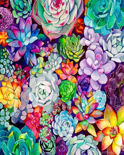Succulents Plants Painting By Numbers Kits