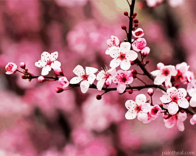 Pink Cherry Blossom Painting By Numbers Kits