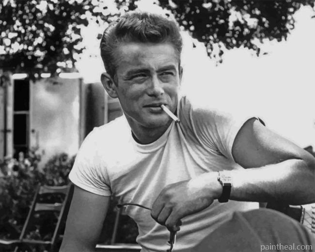 Enigma Of James Dean Painting By Numbers Kits