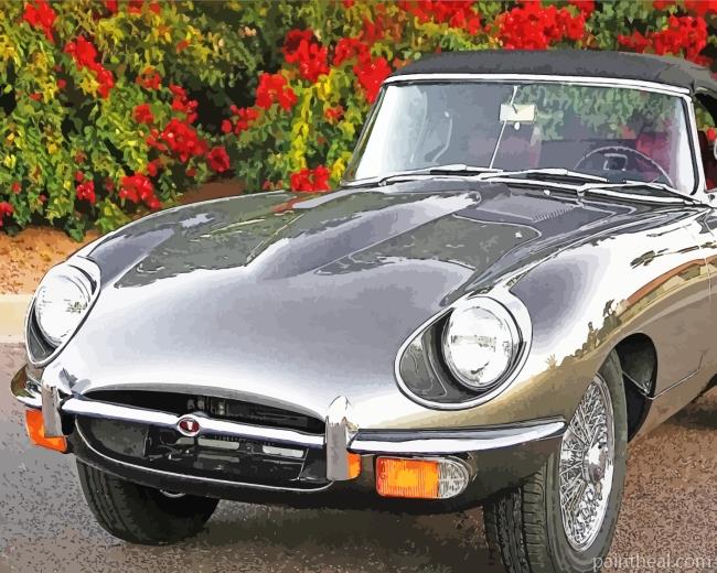 Grey Retro Jaguar Painting By Numbers Kits