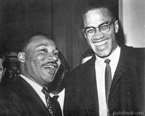 Martin Luther King And Malcolm X Painting By Numbers Kits