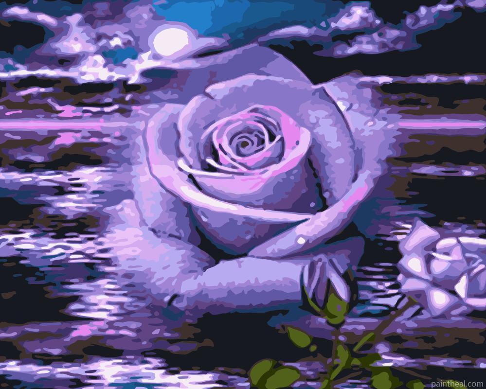 Purple Rose In Water Painting By Numbers Kits