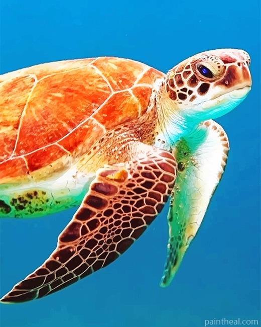 Brown Sea Turtle NEW Painting By Numbers Kits