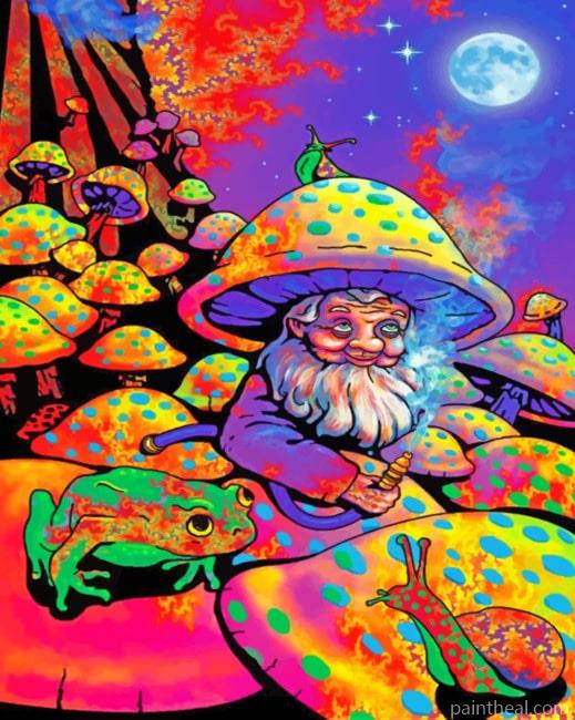 Colorful dwarf Mushrooms Painting By Numbers Kits
