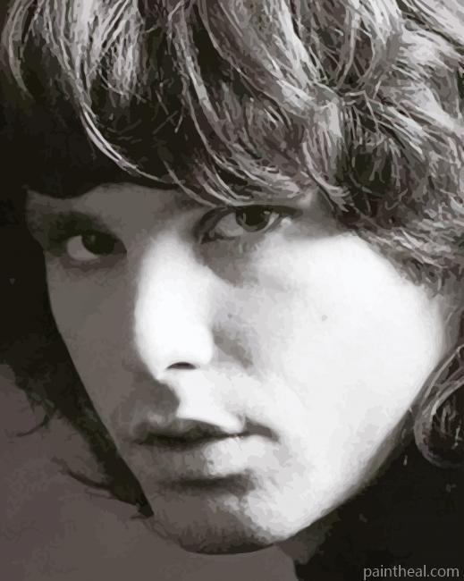Jim Morrison The Doors Painting By Numbers Kits