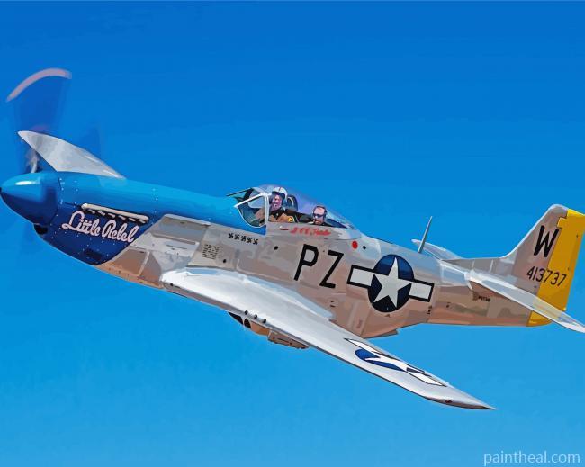 Mustang P51 Aircraft Painting By Numbers Kits