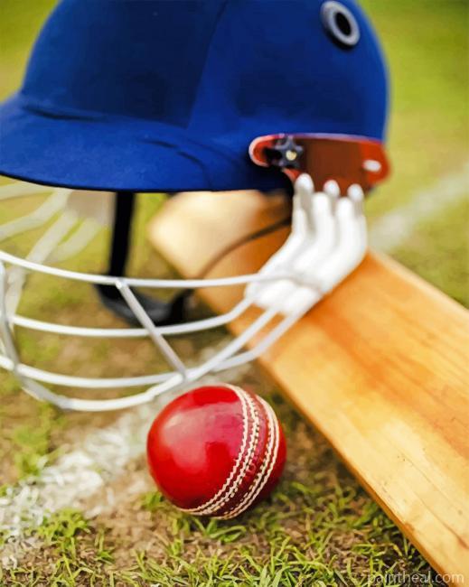 Cricket Essentials Painting By Numbers Kits
