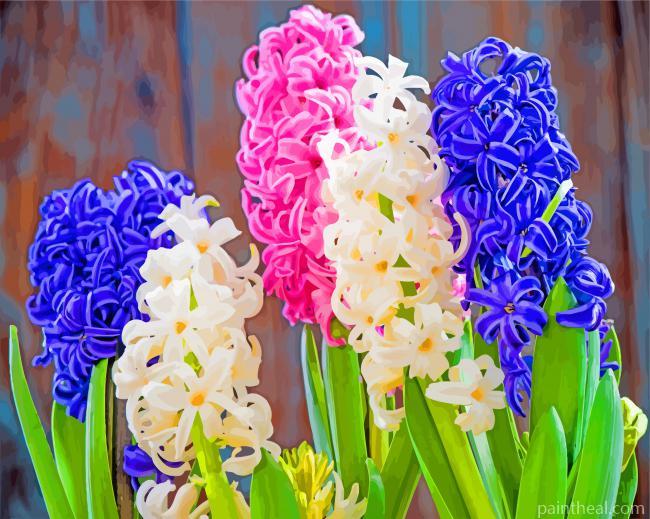 Beautiful Hyacinth Flowers Painting By Numbers Kits