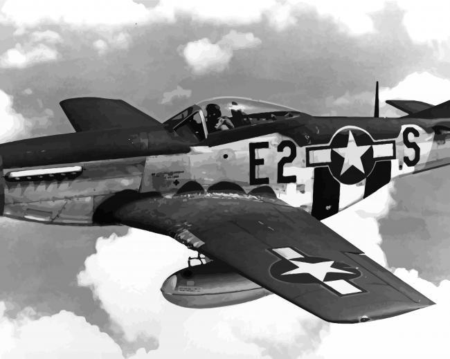 Black and White Mustang P51 Painting By Numbers Kits