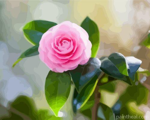 Pink Camellia Painting By Numbers Kits