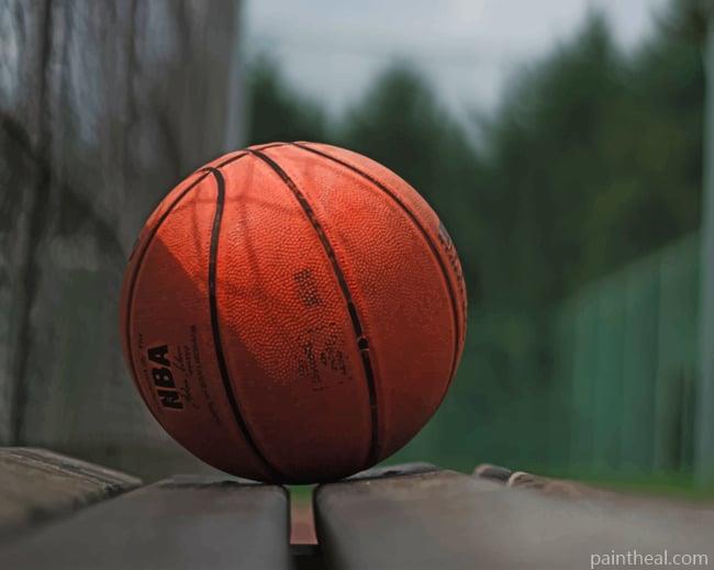 Basketball On Bench Painting By Numbers Kits