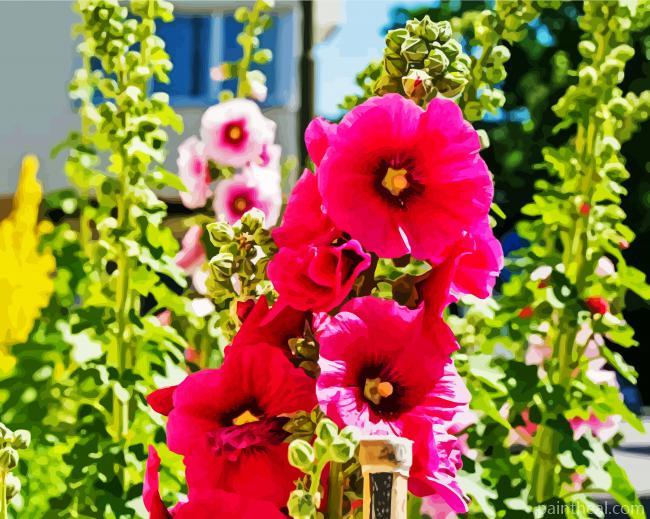 Wonderful Hollyhock Painting By Numbers Kits