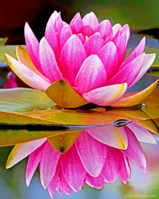 Aquatic Flower Reflection Painting By Numbers Kits