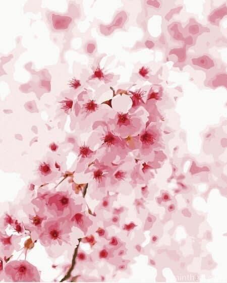 Cherry Blossoms Painting By Numbers Kits