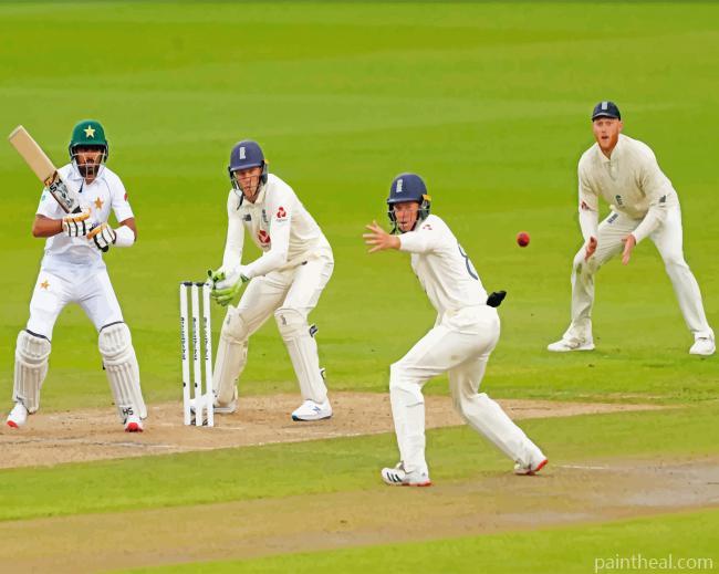 Cricket Team Painting By Numbers Kits