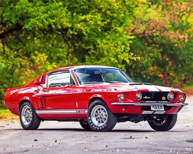 Red Ford GT 500 Painting By Numbers Kits