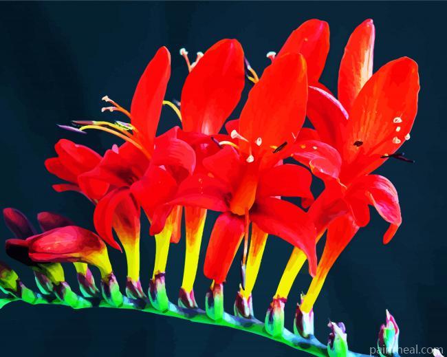 Perennial Flowers Painting By Numbers Kits