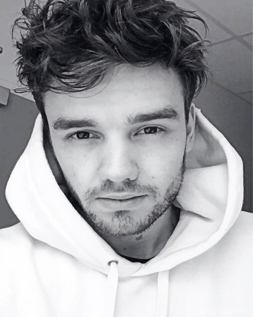 Black And White Liam Payne Painting By Numbers Kits