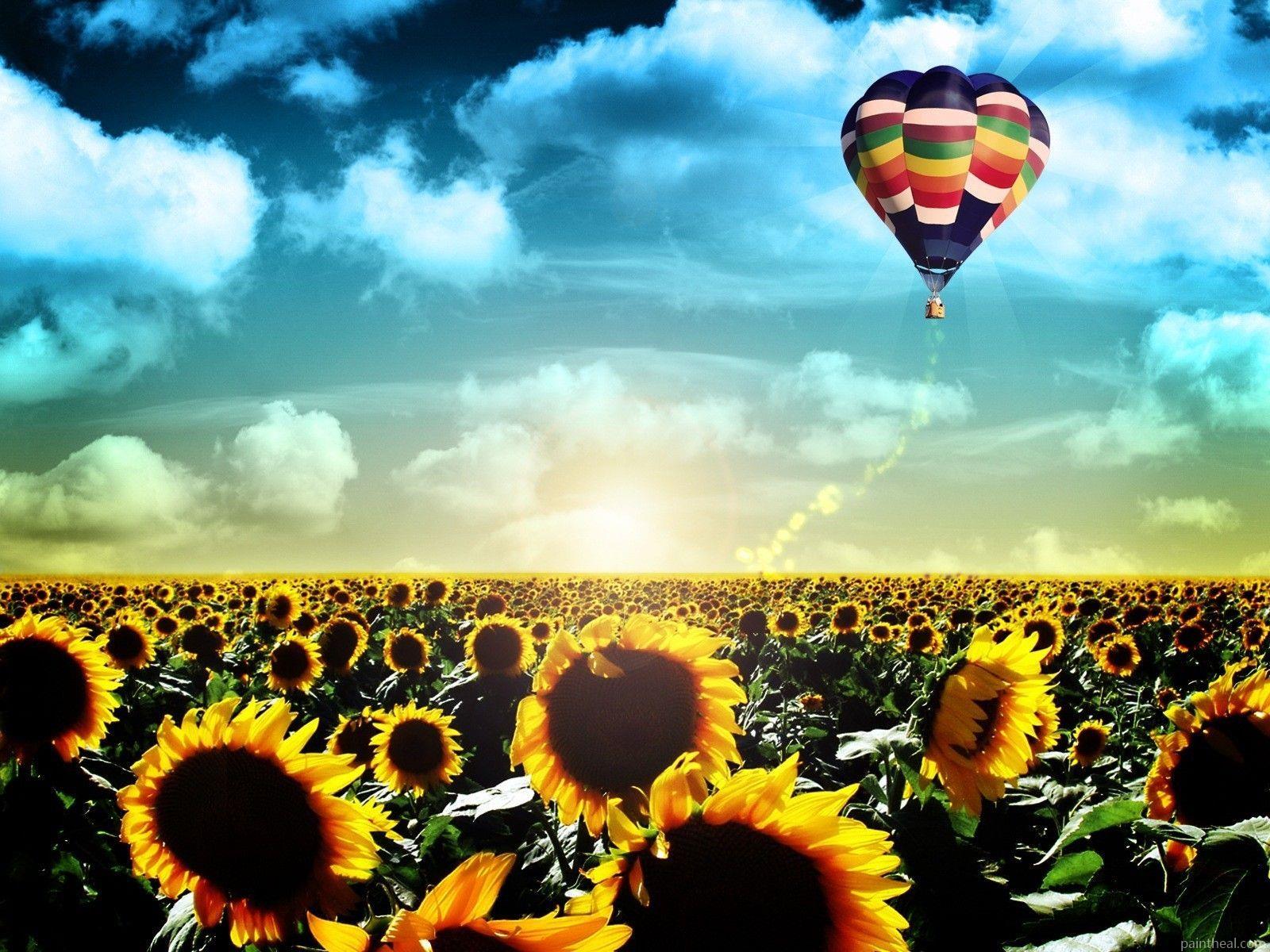 Sunflowers And Air Balloon Painting By Numbers Kits