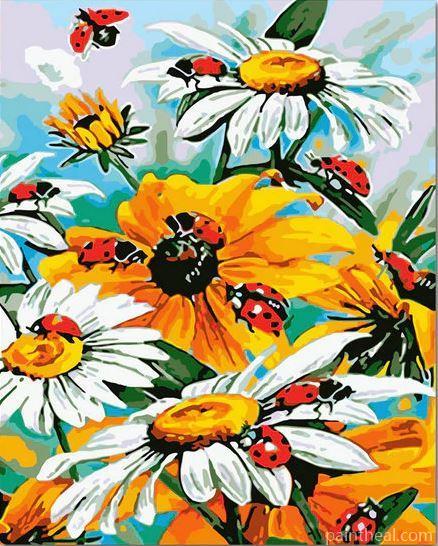 Ladybugs On Daisies Painting By Numbers Kits