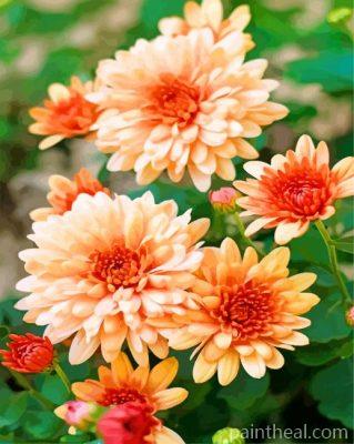 Orange Chrysanthemum Painting By Numbers Kits