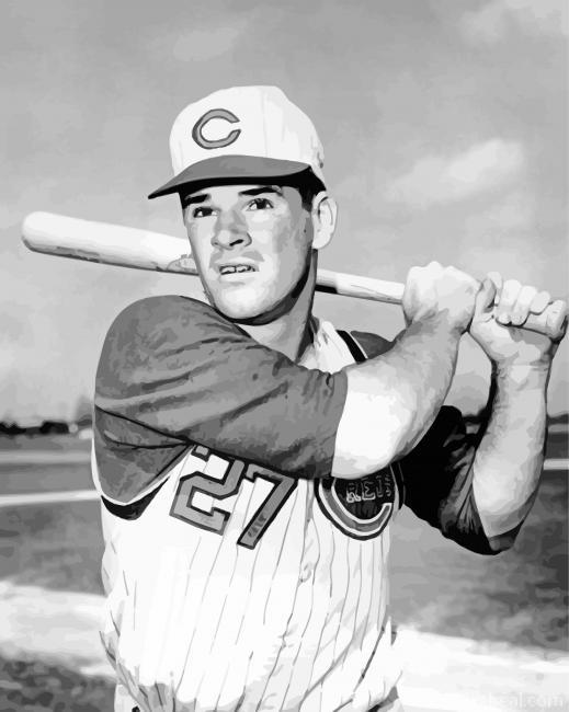 Pete Rose Baseballer Painting By Numbers Kits