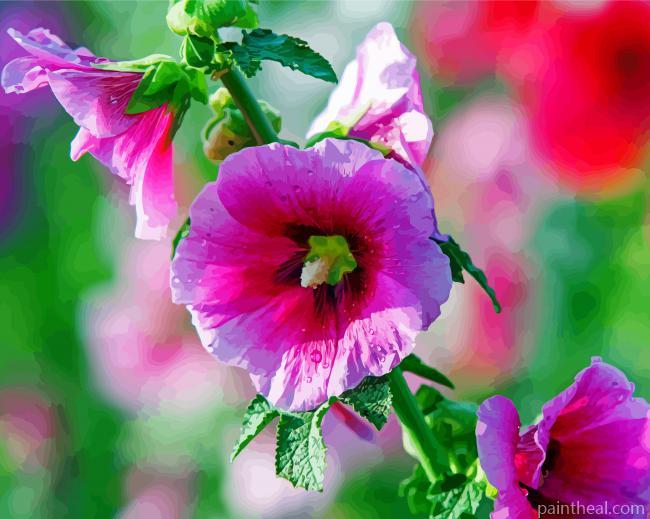 Hollyhock Mallow Painting By Numbers Kits