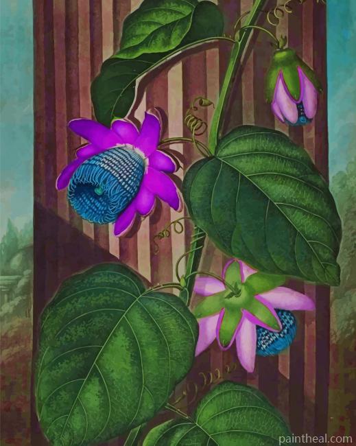 Lovely Purple Flower Painting By Numbers Kits