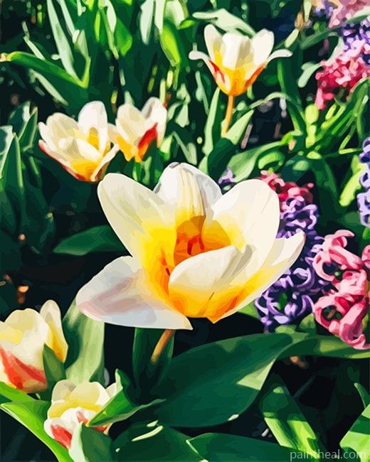 White Yellow Crocus Painting By Numbers Kits