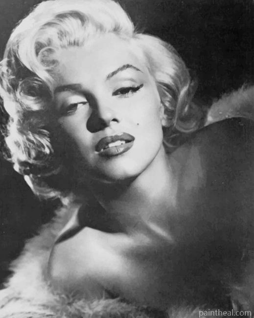 Classic Marilyn Monroe Painting By Numbers Kits