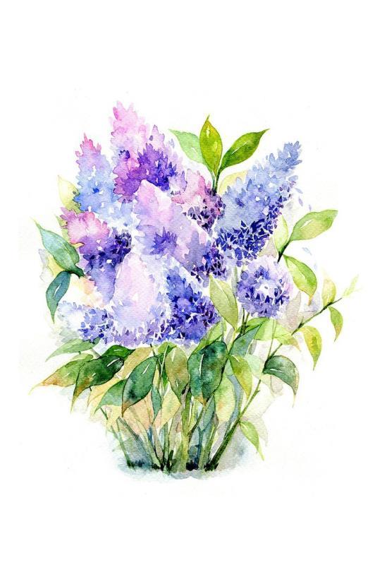 Common Lilac Bouquet Painting By Numbers Kits