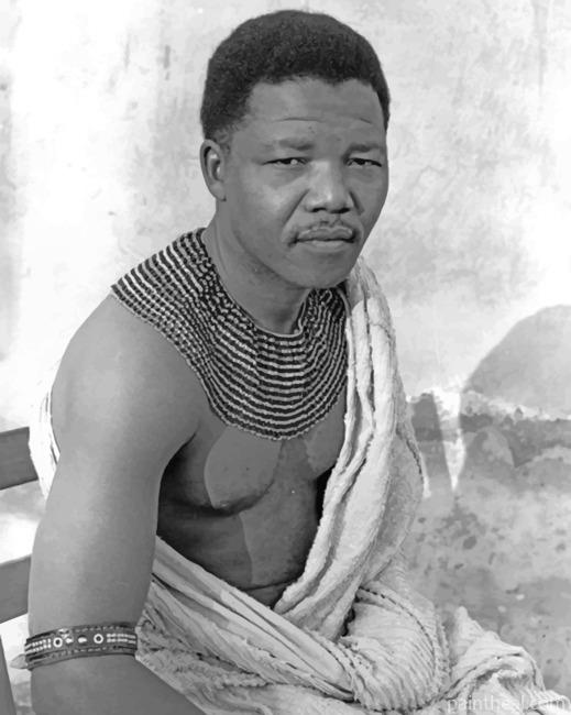 Young Nelson Mandela Painting By Numbers Kits