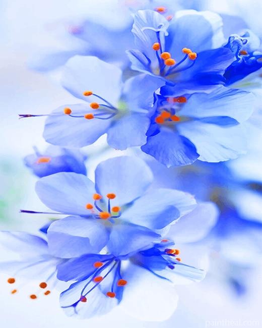 Light Blue Orchid Flowers Painting By Numbers Kits