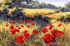 Red Poppy Flowers Field Painting By Numbers Kits