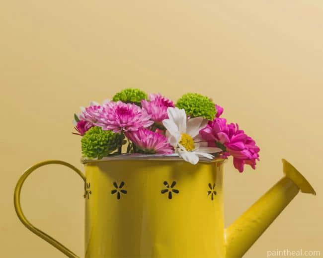 Flowers In Watering Can Painting By Numbers Kits
