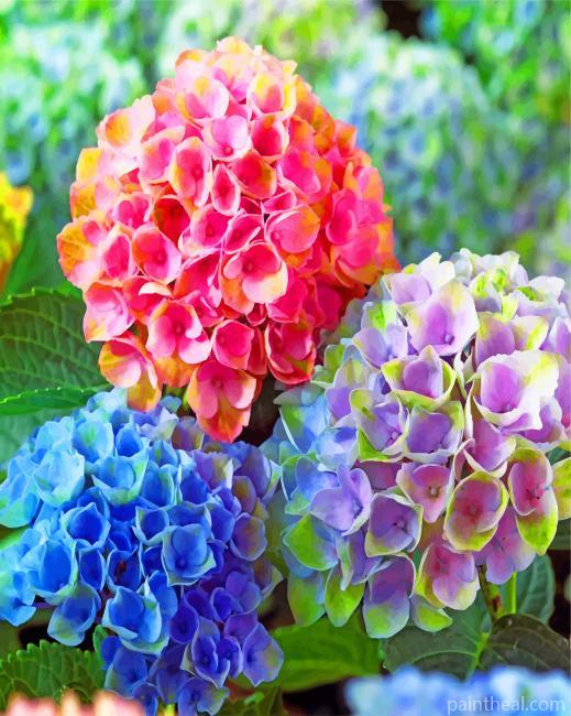 Happily Hydrangea Painting By Numbers Kits