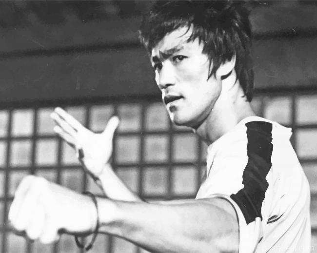 Bruce Lee Black and White Painting By Numbers Kits