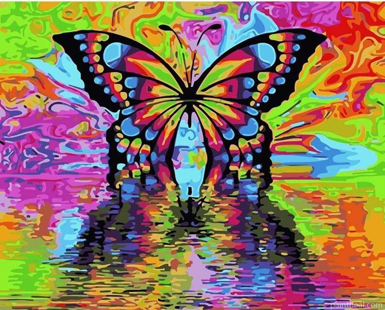 Colorful Butterfly Animals Painting By Numbers Kits