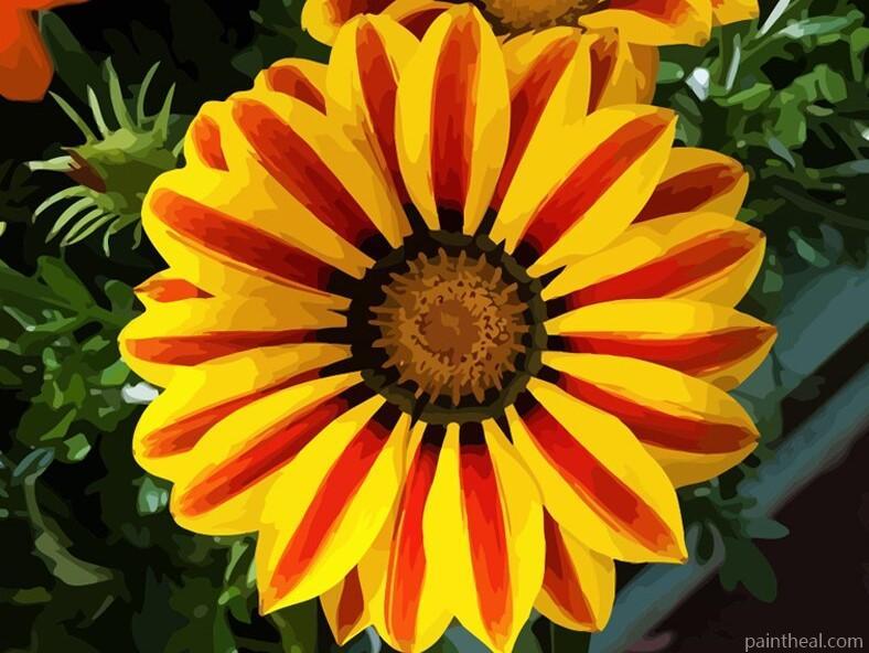 Big Sun Flowers Painting By Numbers Kits