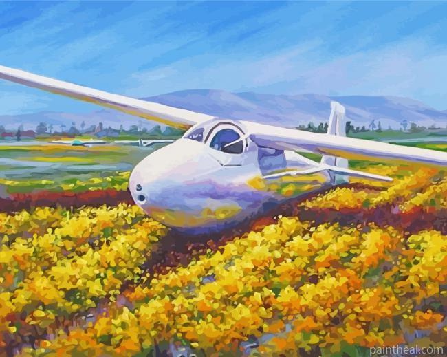 Glider Airplane Painting By Numbers Kits