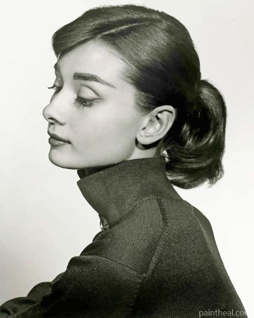 Black And White Audrey Hepburn Portrait NEW Painting By Numbers Kits