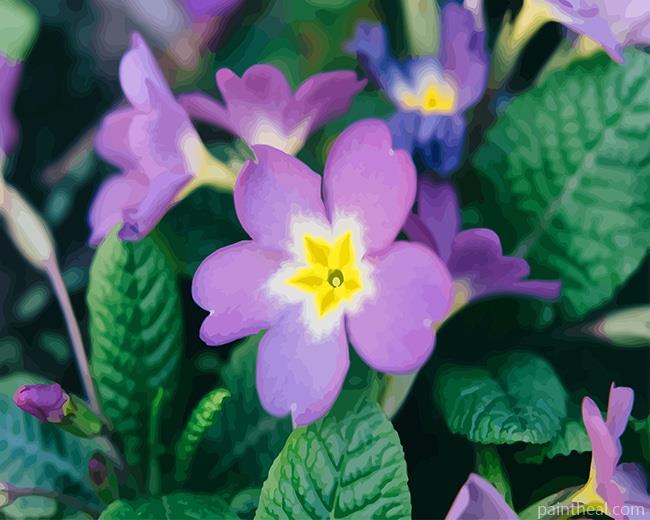 Purple Primrose Flower Painting By Numbers Kits