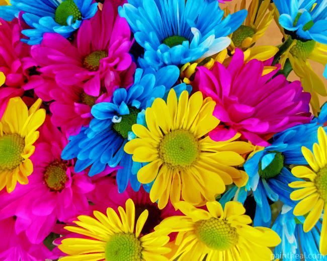 Colorful Blossom Flowers Painting By Numbers Kits